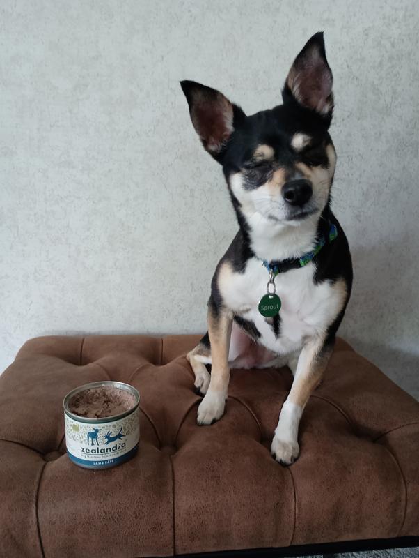 The eyes shut tight while muttering a Chef Ramsey remark.