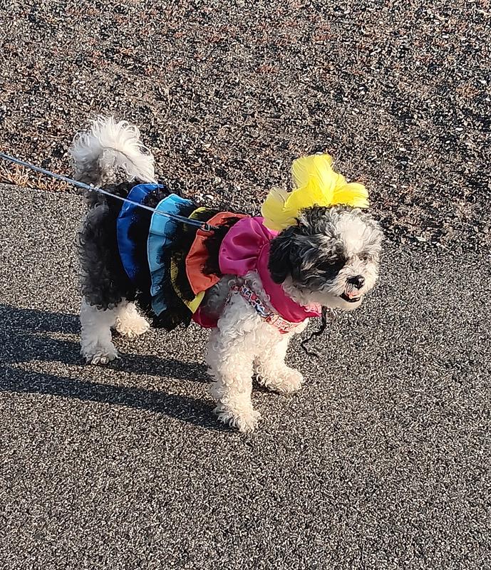 Her name is Lola.  She was a showgirl, with yellow feathers in her hair....