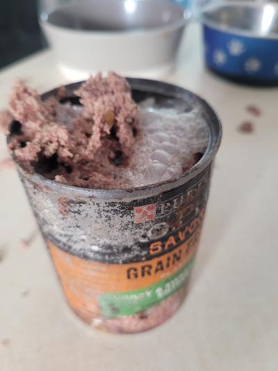 One of the pics of the exploding can