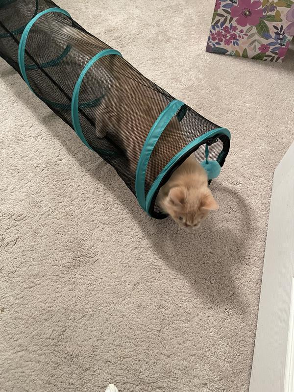 FRISCO Mesh Outdoor Popup Cat Round Playpen & Tunnel, Leaf, 36in L x