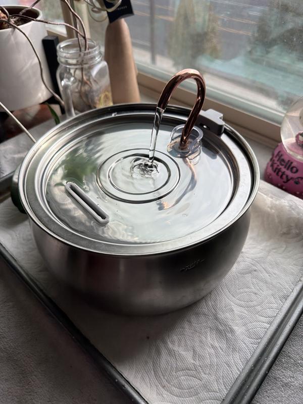 Best fountain ever!!