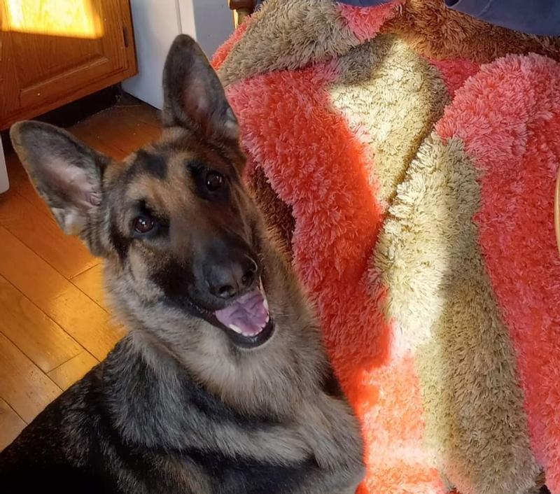 She Loves Her Biscuits