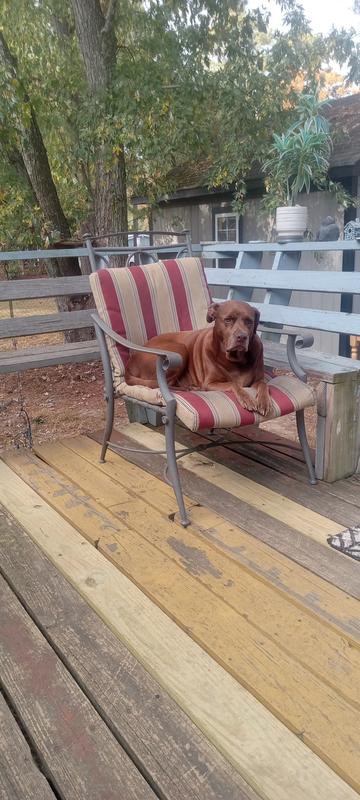 Relaxing in the sun!