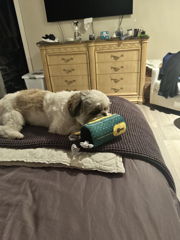 Getting ready for a round