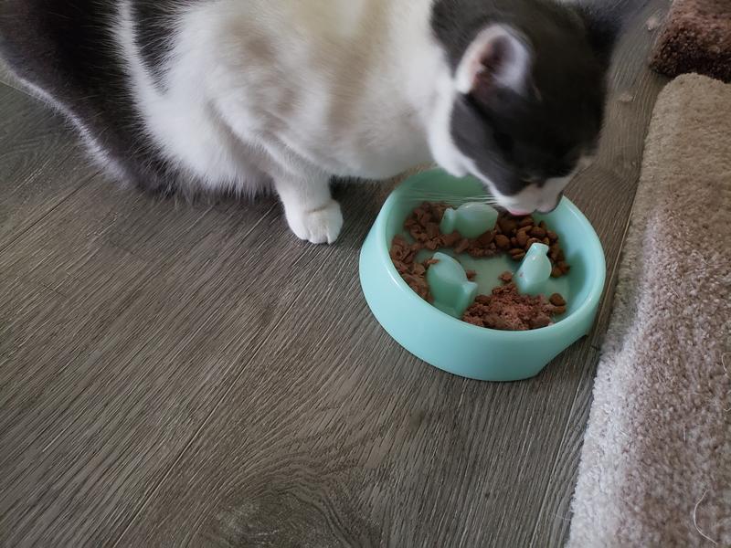 Fancy Feast Feastivities 4 Course Feast Variety Pack Grain-Free Wet Cat Food, 13.3-oz box