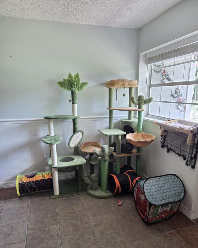 Beautiful awesome fantastic