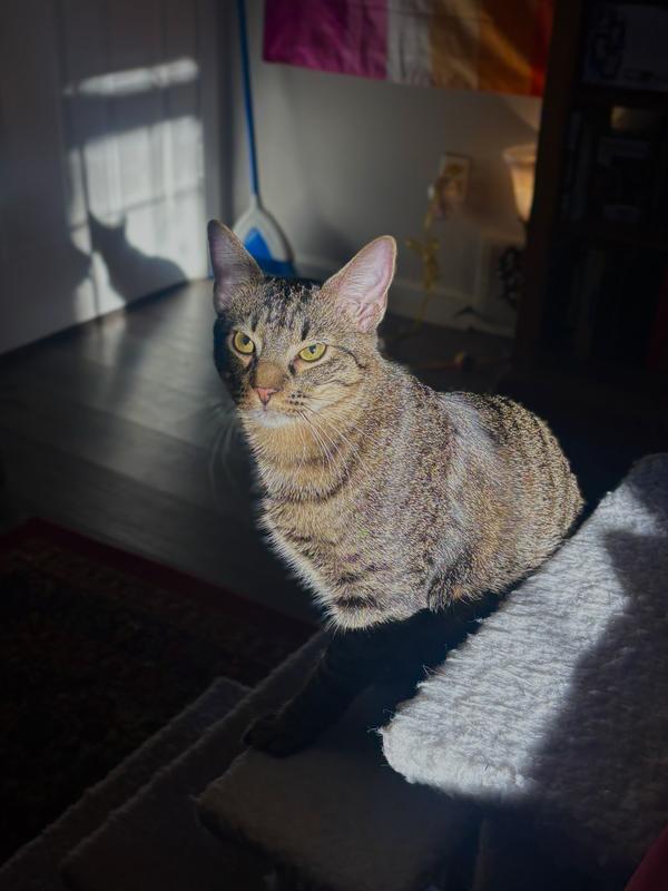 one of our beautiful ladies