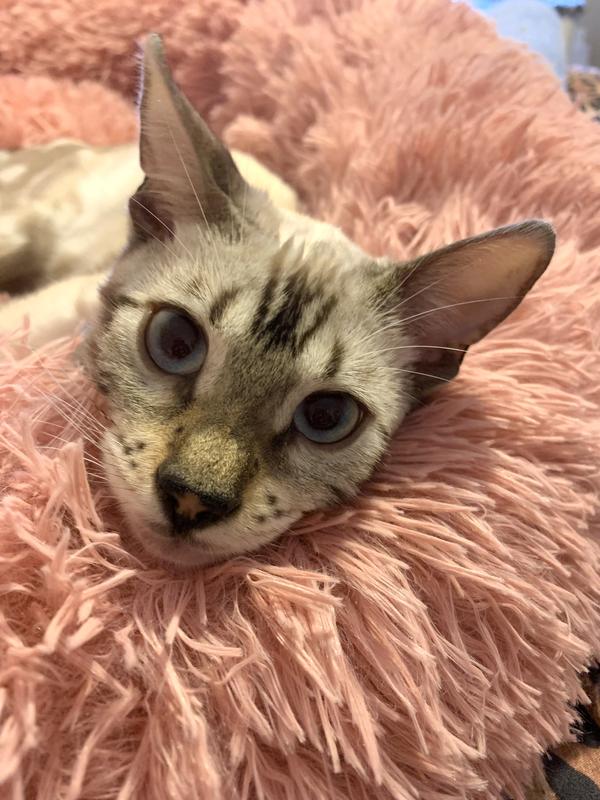Sweet girl