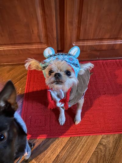 What is she thinking