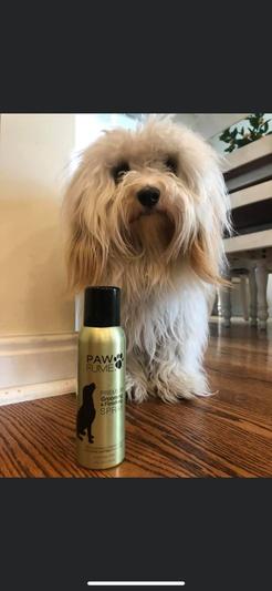 Pawfume 2024 grooming spray