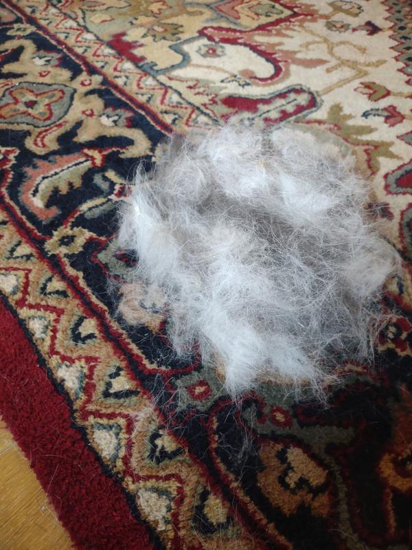 Two gentle strokes from neck to tail