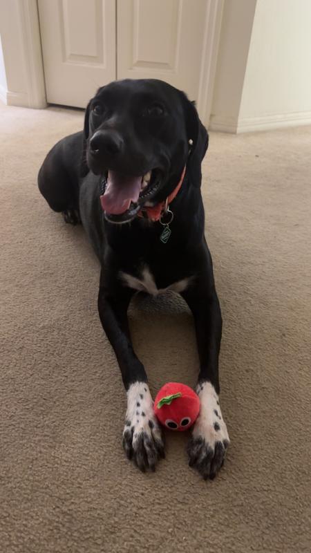 Yay I've had my meds!