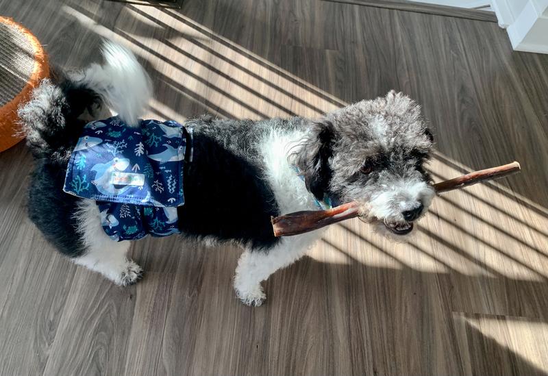 I need to find the perfect spot to chew on this …