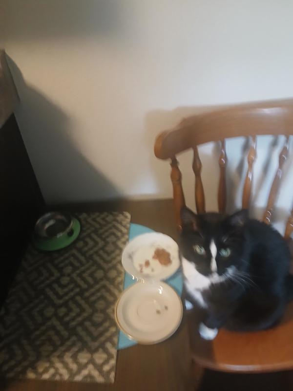 Frosty loves her Temptations