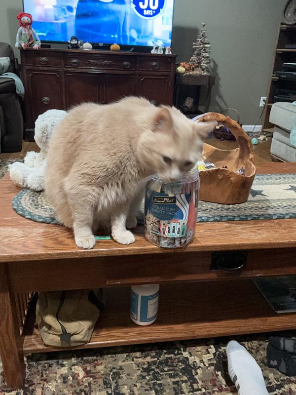 Bing showing off the product