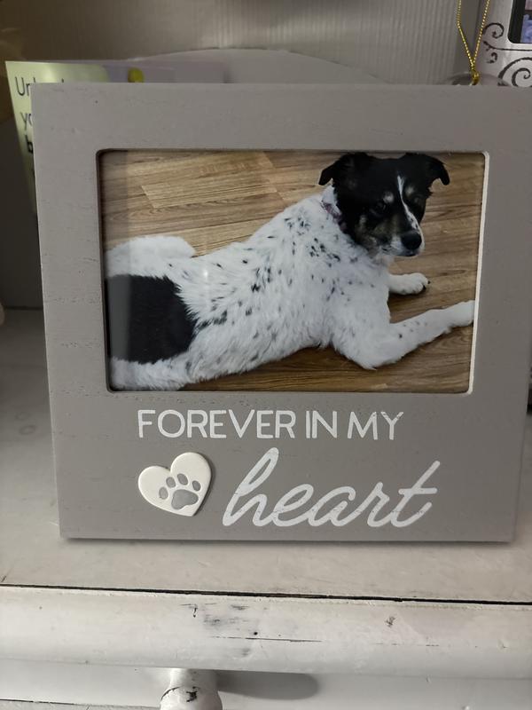 My baby girl, Macy (15-1/2) 2010-2015