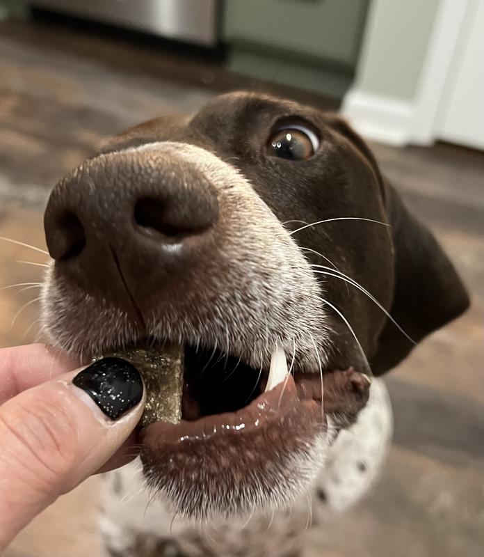 Fig really loves these.