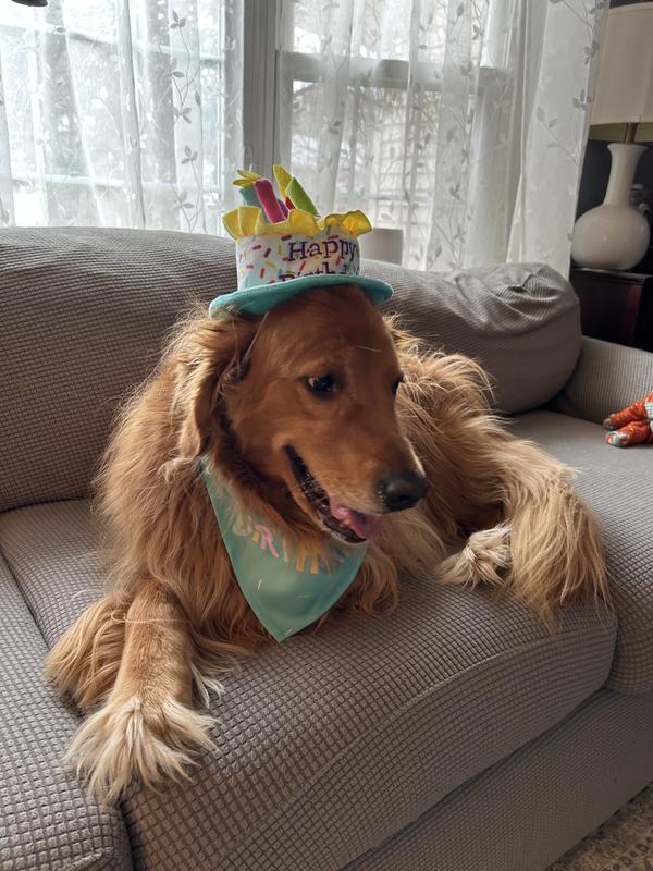 Birthday Girl tried out her new supplement.