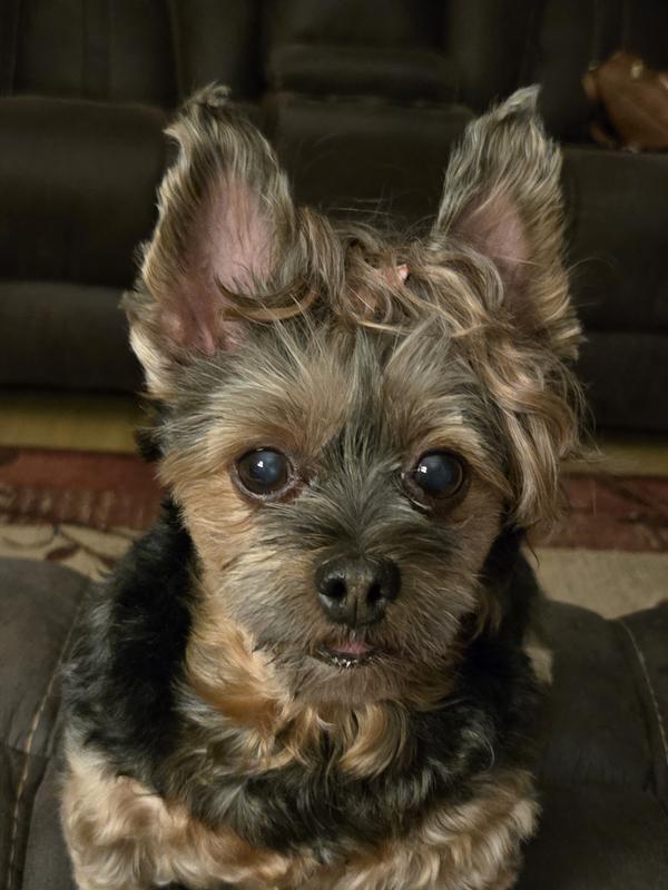 My Missy Ann. My World.