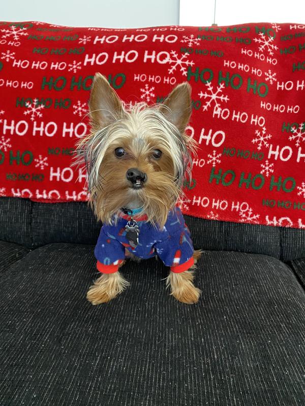 Frisco Snowy Nights Dog & Cat Cozy Polar Fleece PJs