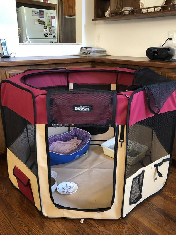 ELITEFIELD 2 Door Soft Sided Dog Cat Playpen Brown Beige 30 in Chewy