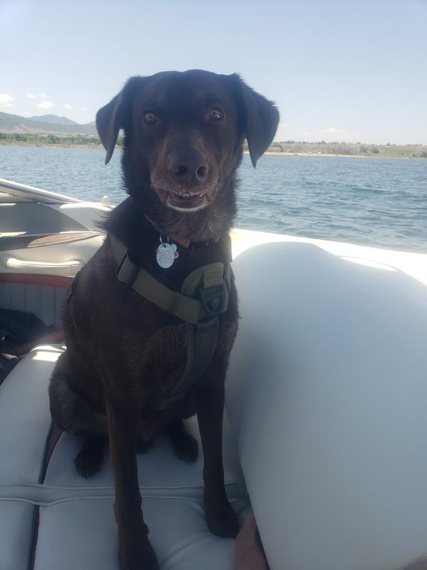 Dad keeps me safe in every way