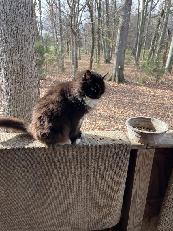 Miss Busy ‘queen’ on her throne.