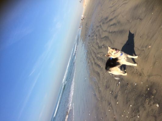 healthy & happy at 8-1/2 years old