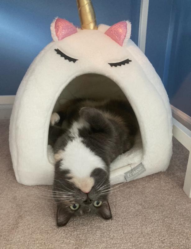 This is her favorite bed!