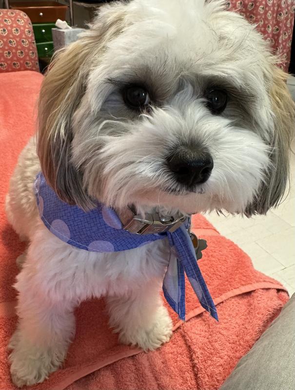 Mindy loves Douxo S3 soothing conditioner!!!