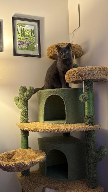 I think he’s claimed it lol