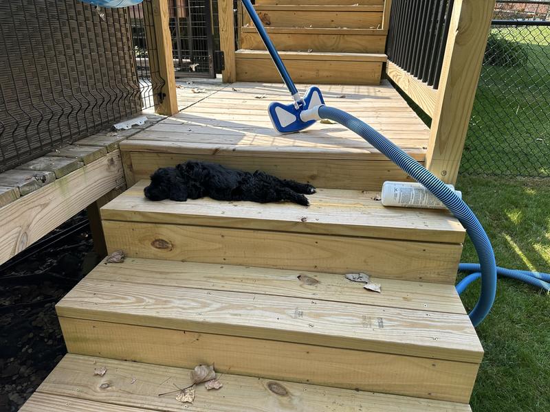 Jus a lazy summer day by the pool