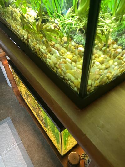 MARINA LED Aquarium Kit, 20-gal 