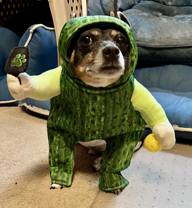 Hey! Lets play pickle Ball!