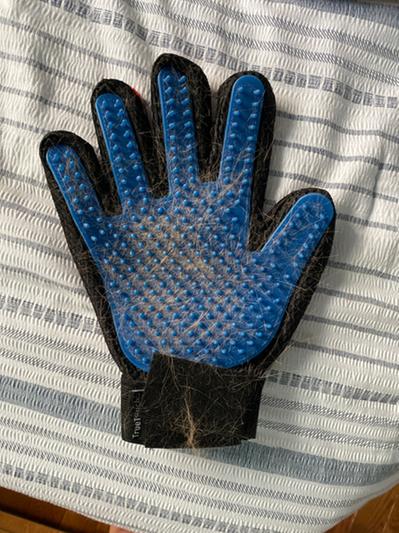 True touch store deshedding glove reviews