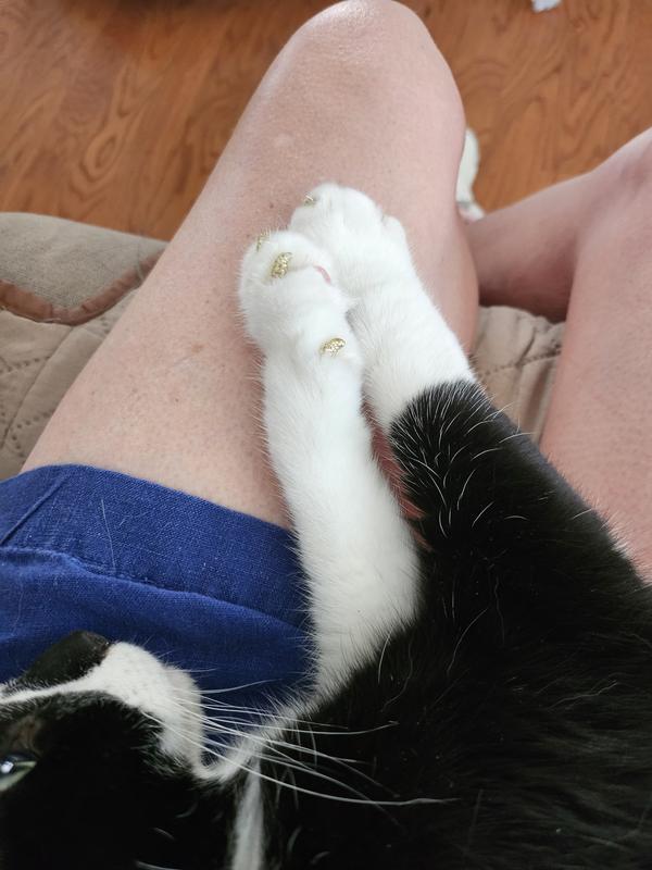 Look at her sparkles!