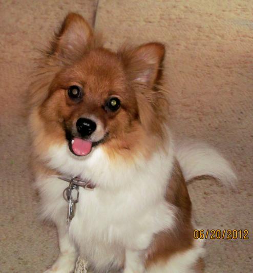 Roscoe