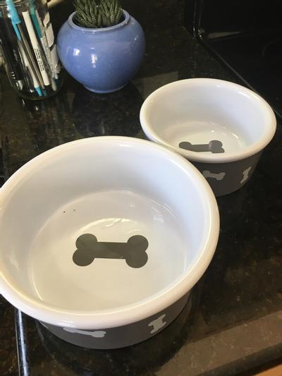 SWEEJAR Ceramic Dog Bowls with Bone Pattern, Dog Food Dish for