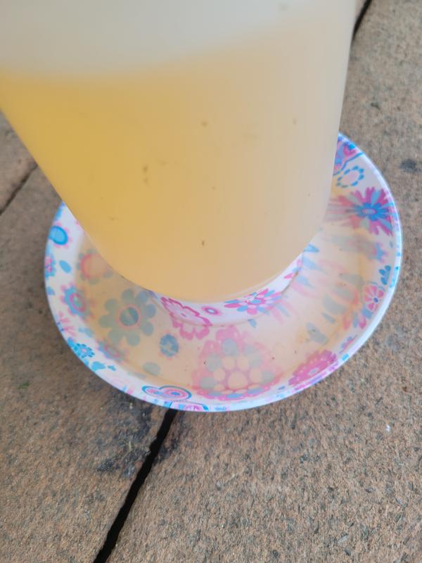 Chicke electrolyte waterer