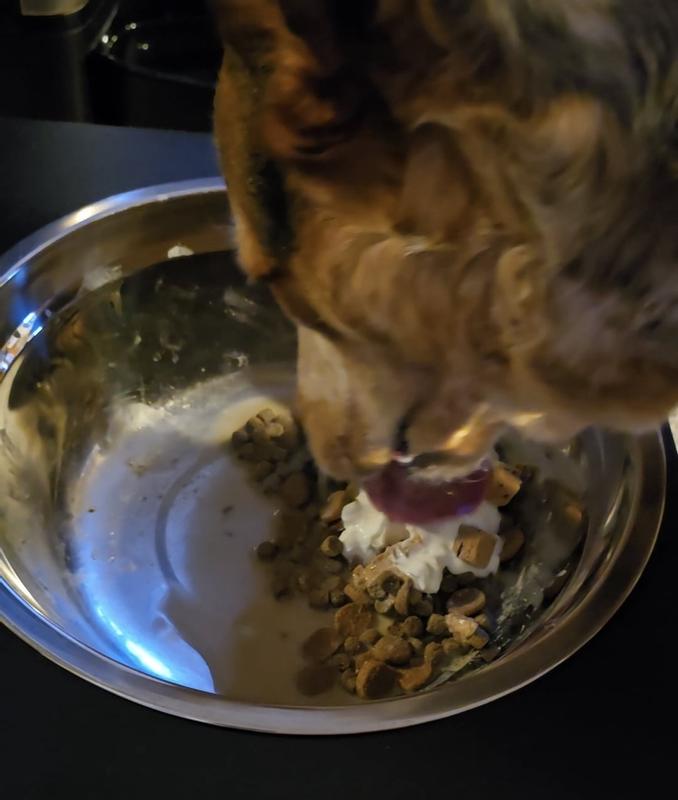 Eleanor investigating