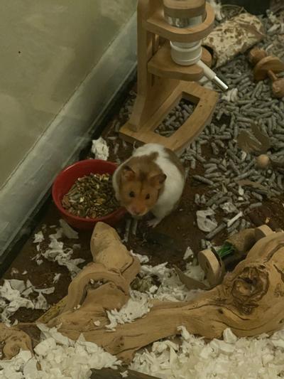 Don’t watch me eat!