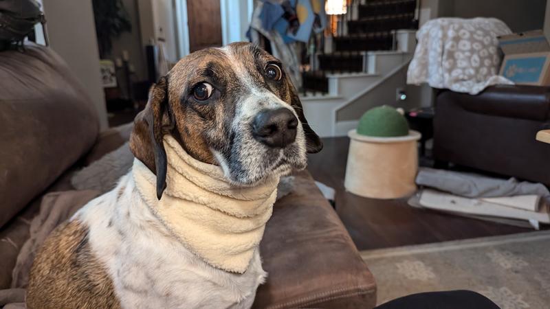 Reverse fabric is warm fleece