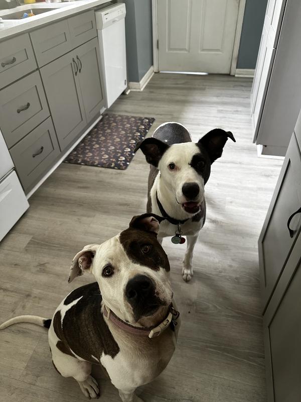 Waiting impatiently ….