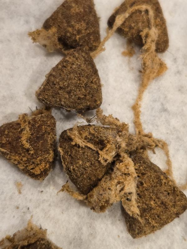 Don't know what this is in dog food!