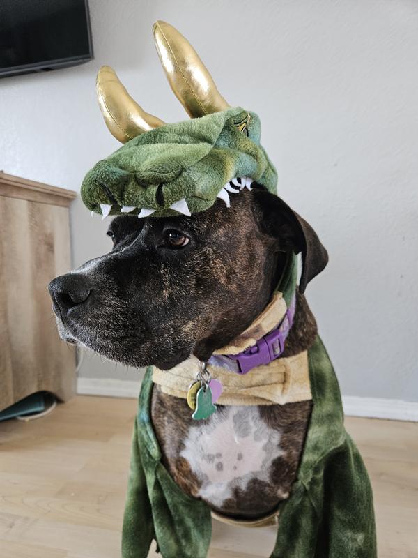 MARVEL s Loki Alligator Dog Cat Costume Small Chewy