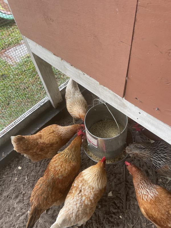 They like it