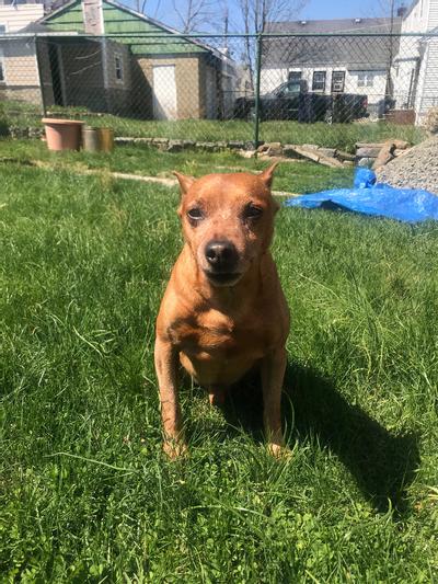 Soaking up the sunshine