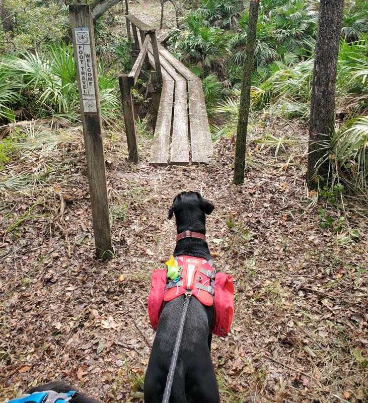 Heading out on the FT in style