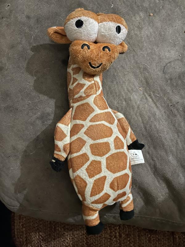 George the Giraffe.