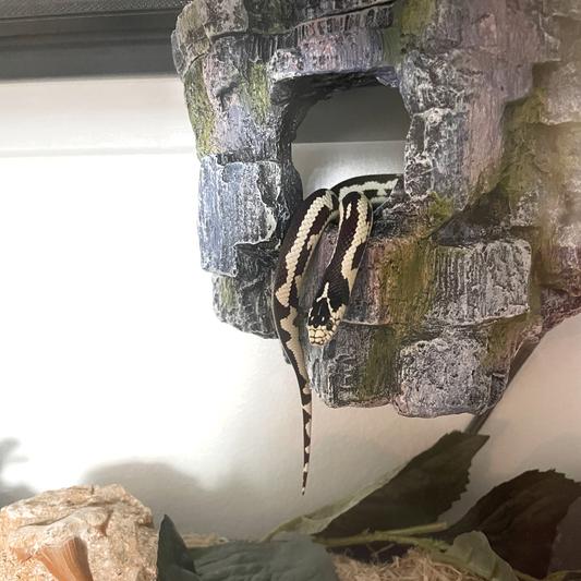 ZILLA Vertical Decor Rock Cave